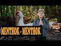 Download Lagu Mentok - mentok || Menthok-menthok tak kandhani ♫ Lagu Bahasa Jawa || Mirza Dzaky