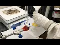 Synthesis of Carbon Quantum Dots