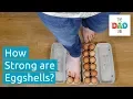 Download Lagu Walking on Eggs | Kids Science Experiment