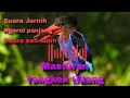 Lagu Masteran Tengkek Udang Gacor Ngerol Panjang Jernih