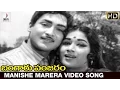Download Lagu Bangaru Panjaram Movie | Manishe Marera Video Song | Sobhan Babu | Vanisri | Divya Media