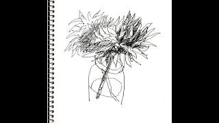 Drawing with Fountain Pens Pilot Custom 912 with Flexible Nib Factory Feed