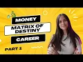 What Type of Job Should You Do to Succeed Matrix of Destiny Part 1