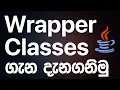 Wrapper Classe in JAVA - JAVA Programming in Sinhala RAVB