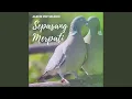 Download Lagu Kau Yang Ku Sayang