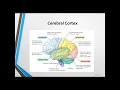 PrepJet EPPP Exam Lecture - Physiological Psychology Psychopharmacology Domain Part 2