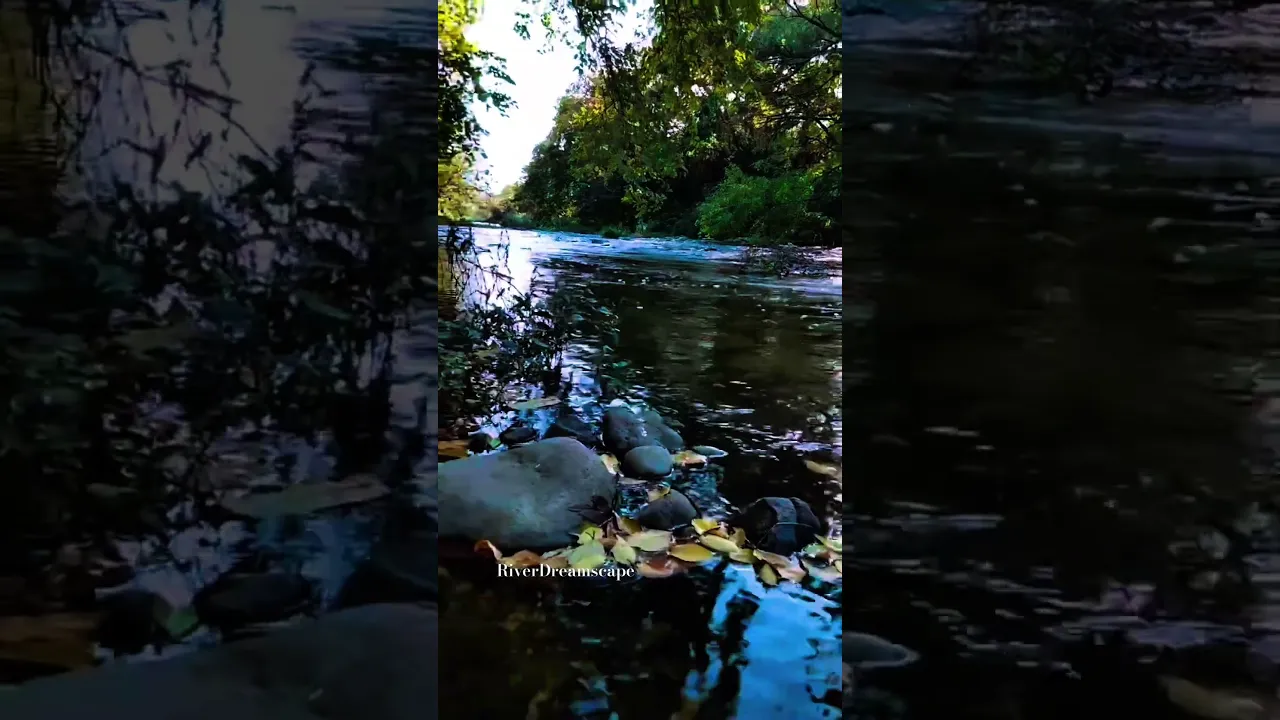River Sounds Ambience