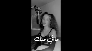 مافي منك   عزيز مرقة دندنها