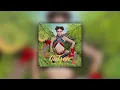 Gülşen - Bir Fırt Çek