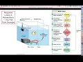 Human Physiology - Ch 1 Part 6