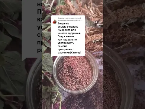 6 сентября 2026 г.