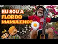 Assim surgiu a música FLOR DO MAMULENGO -  Cantando Inspirações