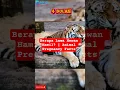 Lagu Berapa Lama Hewan Hamil? | Animal Pregnancy Facts#shorts