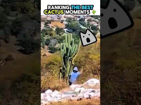 Ranking the Best "Cactus Moments"😂 #ranking #shorts