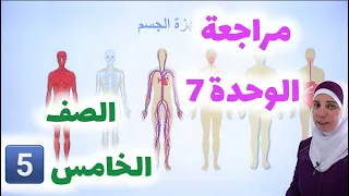 حل أسئلة مراجعة الوحدة السابعة أجهزة جسم الإنسان العلوم الصف الخامس الفصل الثاني 