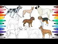 9 Dog Breeds to Color - Coloring Pages