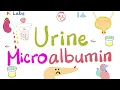 Lagu Microalbumine in de urine (microalbuminurie) - Diabetes mellitus en nierziekte - Nefrologielabora...