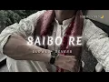 🎧Saibo Re (Slowed + Reverb) | Kirtidan Gadhvi & Priya Saraiya | Gujarati Song 💜 | Slient Vibes