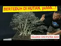 Lagu #85 BERTEDUH DI HUTAN. ANTING PUTRI GRUPING. KOLEKSI: EKO PUTRA HEIDI