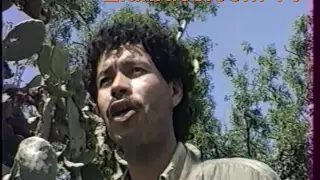 Noujoum Saf Elbarrani 