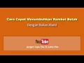 Download Lagu Cara Cepat Menumbuhkan Rambut Botak dengan Bahan Alami