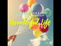Wonderful Life (Radio Edit)