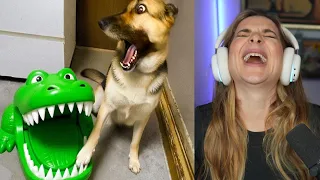SER RIR, REINICIA O VIDEO! #10