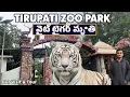 Lagu tirupati zoo park telugu | SV Zoo Park Tirupati | Sri venkateshwara Zoological Park | white tiger