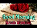 good morning happy wednesday pictures images