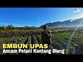Download Lagu EMBUN UPAS, ANCAM PETANI KENTANG DIENG