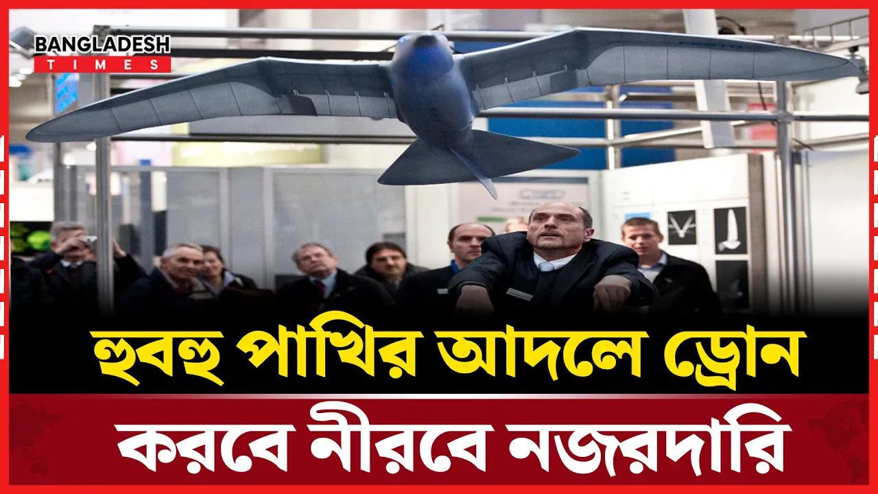 পাখির ছদ্মবেশে ড্রোন: চীনের নিঃশব্দ আকাশ সেনা