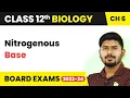 Class 12 Biology Chapter 6 Nitrogenous Base - Molecular Basis of Inheritance 2022-23