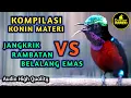 Download Lagu KOMPILASI KONIN GACOR FULL ISIAN JANGKRIK, RAMPATAN, BELALANG EMAS PANJANG COCOK BUAT KOLIBRI BAHAN