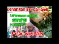 Download Lagu Sejuta Cerita dari Kapenawon Nglipar sampai Pilangrejo pasar wotgalih Gunungkidul Yogyakarta