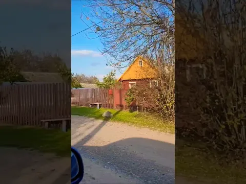 Песня Крик и Боль Души!!Не продавай Отцовский дом! #деревня #старость#любовь#дом