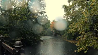 أصوات الطبيعة المشي تحت المطر 