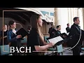 Bach - Cantate Ich elender Mensch, wer wird mich erlösen BWV 48 - Sato | Nederlandse Bachvereniging