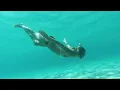 Lagu Bikini Snorkel Dive 4k
