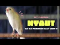 Download Lagu KENARI GACOR PANJANG !!! Suara PANCINGAN KENARI PAUD Belajar BUNYI Ngeriwik - MASTERAN Kenari PAUD