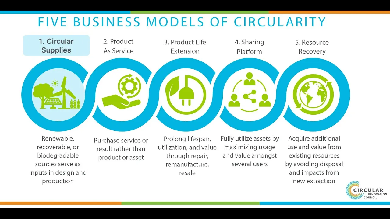 Driving the Circular Economy Through Public Procurement