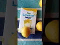 The Lemonade War