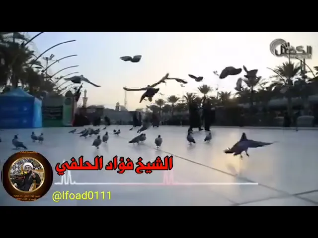 ⁣يا زهراء - الخطيب الشيخ فؤاد الحلفي
