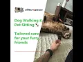 Sitter4Paws - Best Pet Sitters in Ft Lauderdale