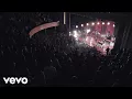 Cage The Elephant - Cold Cold Cold Unpeeled Live