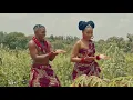Download Lagu Zuchu - Sukari (Official Music Video)