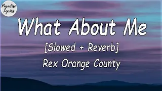 rex orange county what about me slowed reverb television so far so good lyrics video 