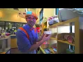 Blippi Learns About Animals For Kids At The Animal Shelter | Educational Videos For Toddlers