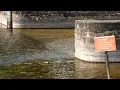 U S Army Corps of Engineers Monitoring Low Gull Lake Dam Water Levels Lakeland News