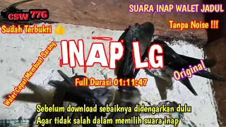 Download SUARA INAP WALET SUPER RESPON || INAP LG ORIGINAL || SUARA INAP WALET JADUL BERKUALITAS MP3