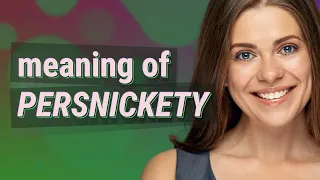 Persnickety meaning of Persnickety